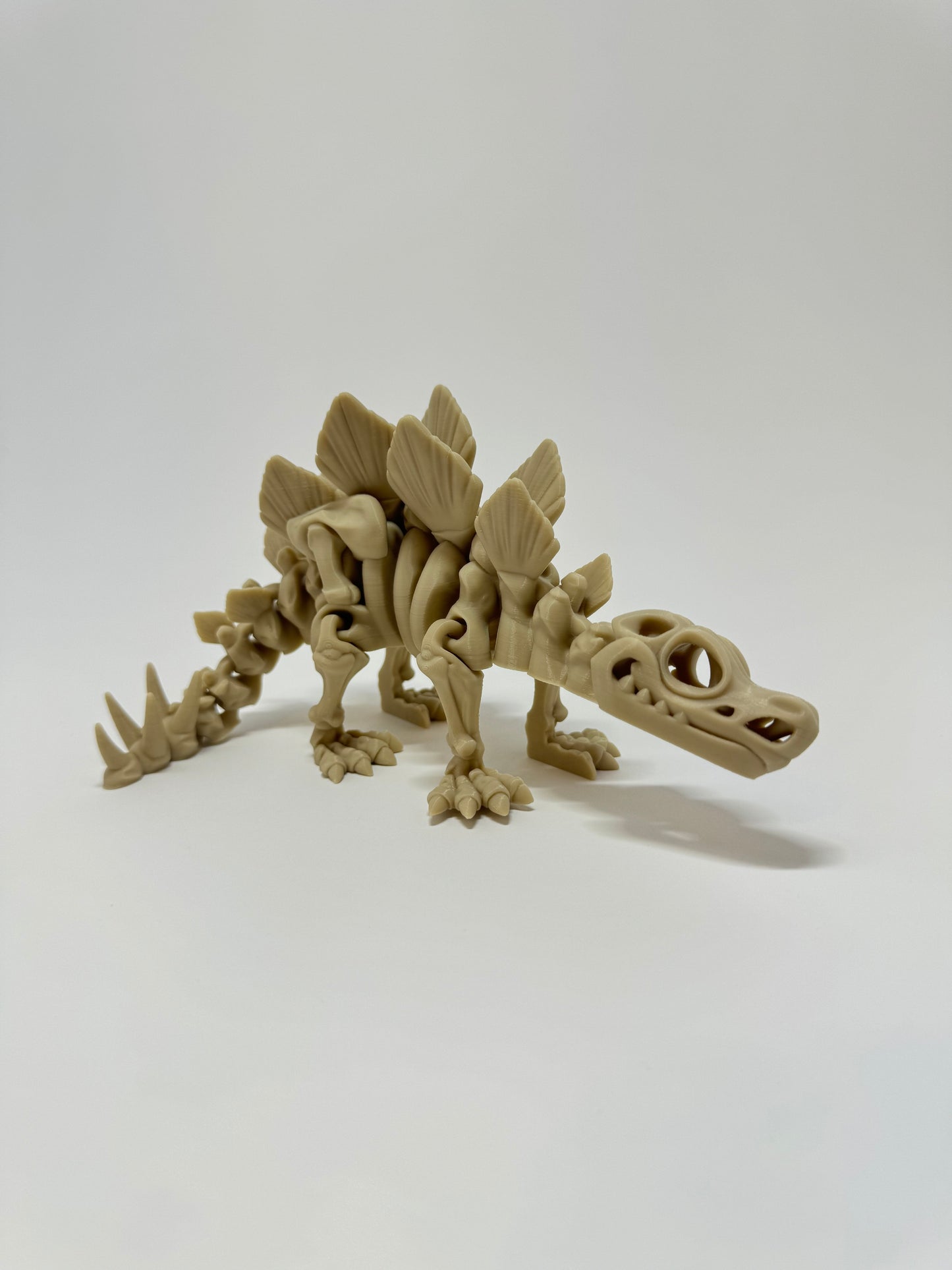 Skeleton Stegosaurus Flexi