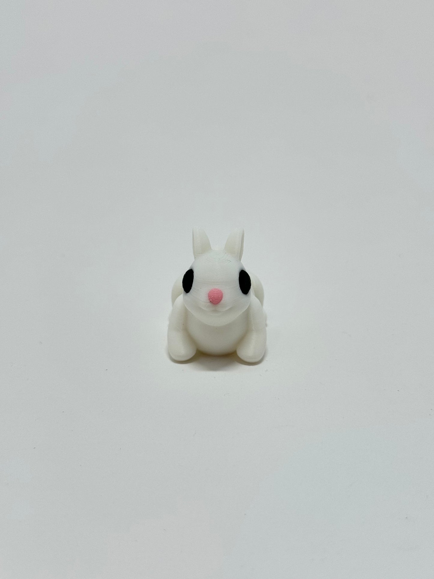 Mini Bunny