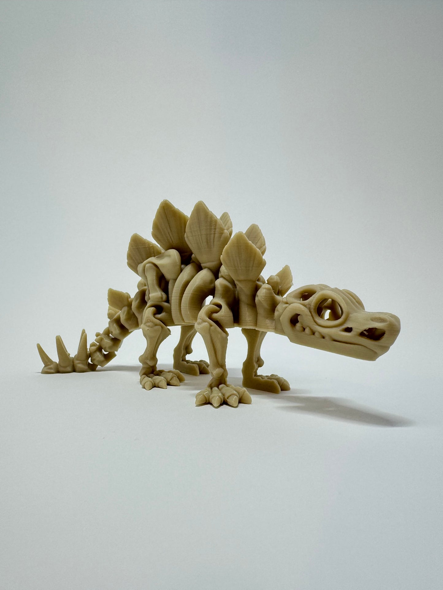 Skeleton Stegosaurus Flexi